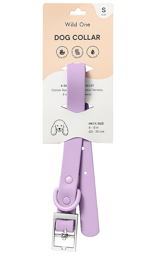 Shop Wild One Small Collar In Lavender