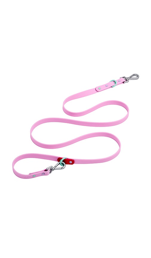 Wild One Standard Leash In Bubblegum Colorblock