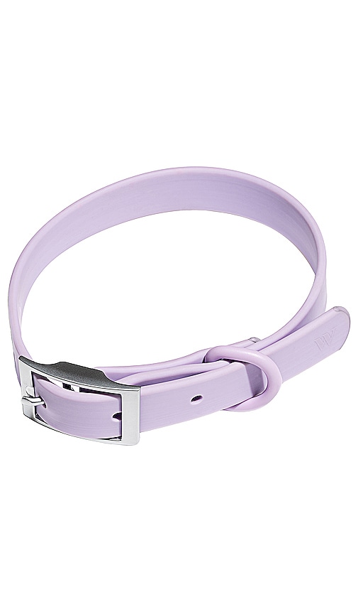 Shop Wild One Medium Collar In 淡紫色