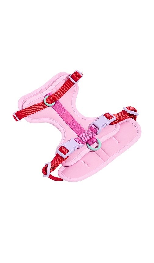 Wild One Extra Small Harness en Pink 54€