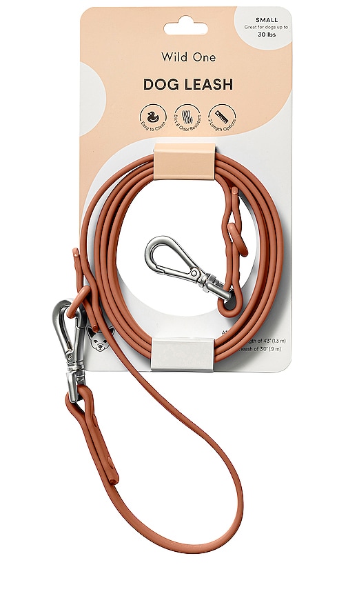 Shop Wild One Small Leash In Brown