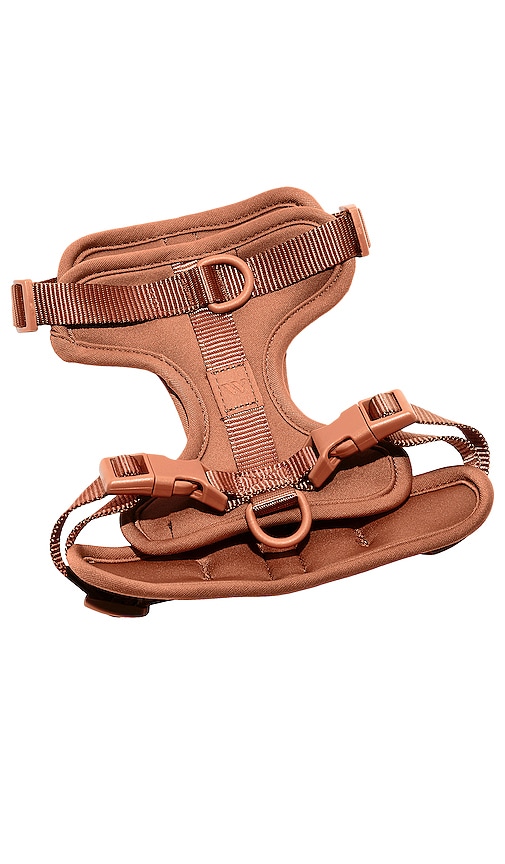 Wild One Extra Small Harness In Brown