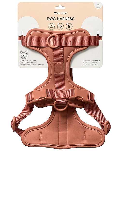 Shop Wild One Medium Harness In Brown