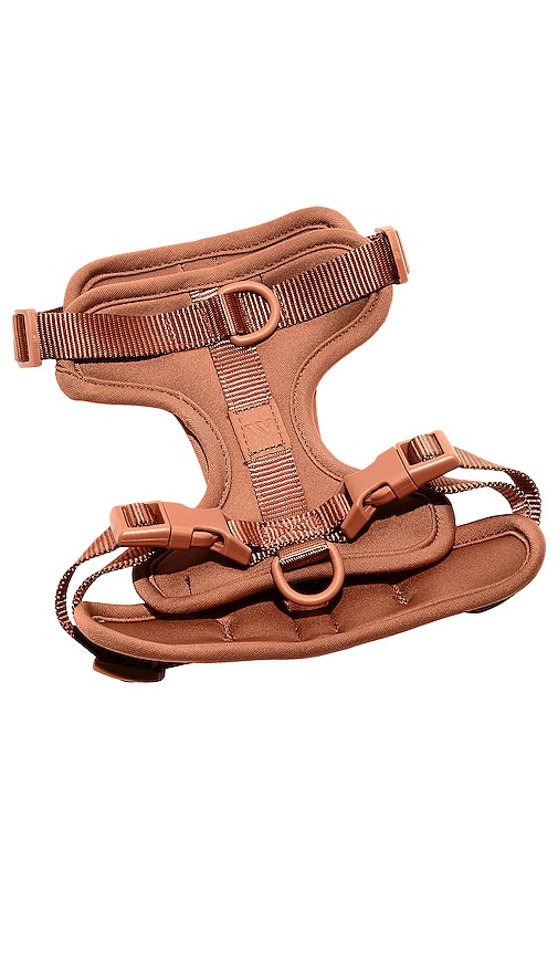 Wild One Large Harness In Brown