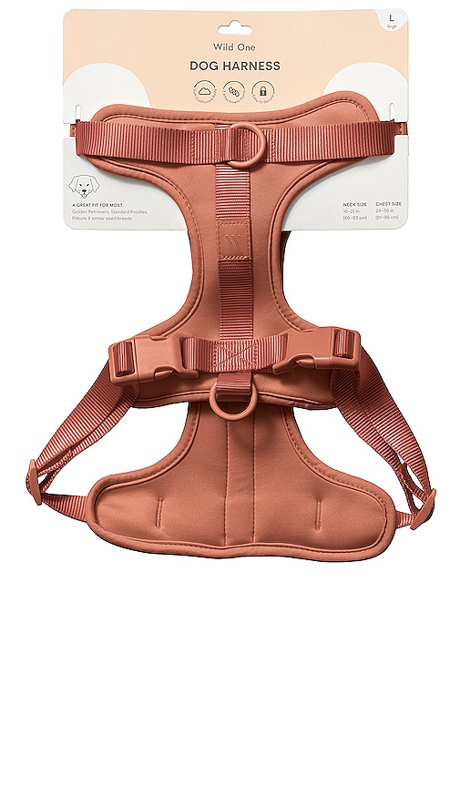 Shop Wild One Large Harness In Brown