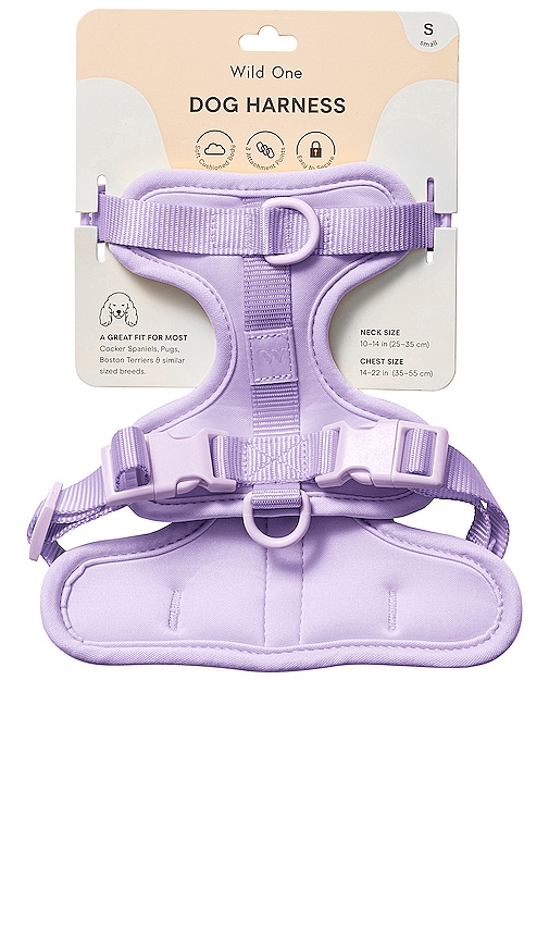 Shop Wild One Small Harness In Lavender