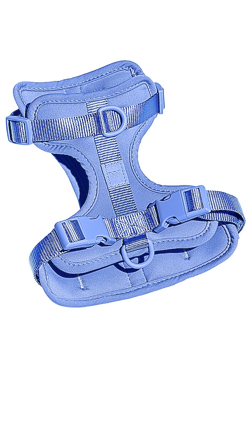 Shop Wild One Extra Small Harness In Blue