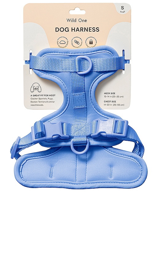 Shop Wild One Small Harness In Blue