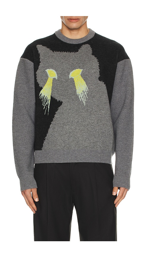 We11 Done Cat Jacquard Knit Pullover In Brown