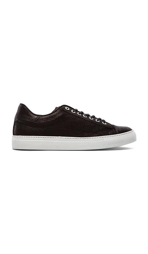 Leather Low Top