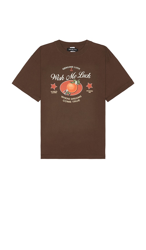 Wish Me Luck Shirt In Brown