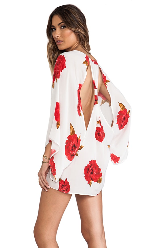 Shawn Dress