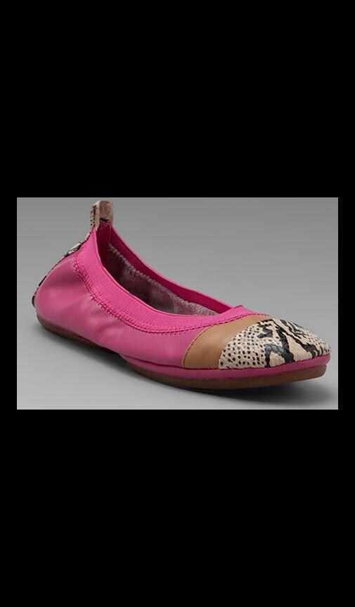 Color Blocked Flat