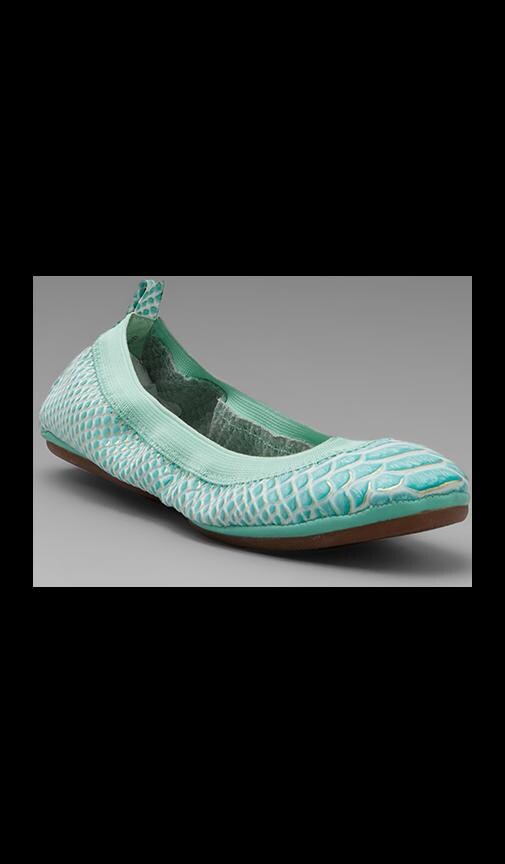 Reptile Flat
