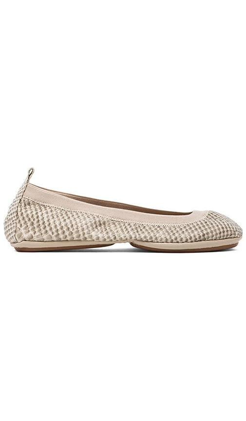 Croco
