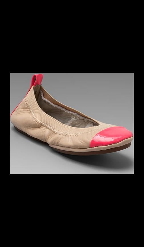 Two Tone Flat