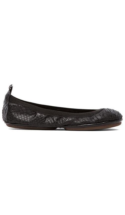 Croco