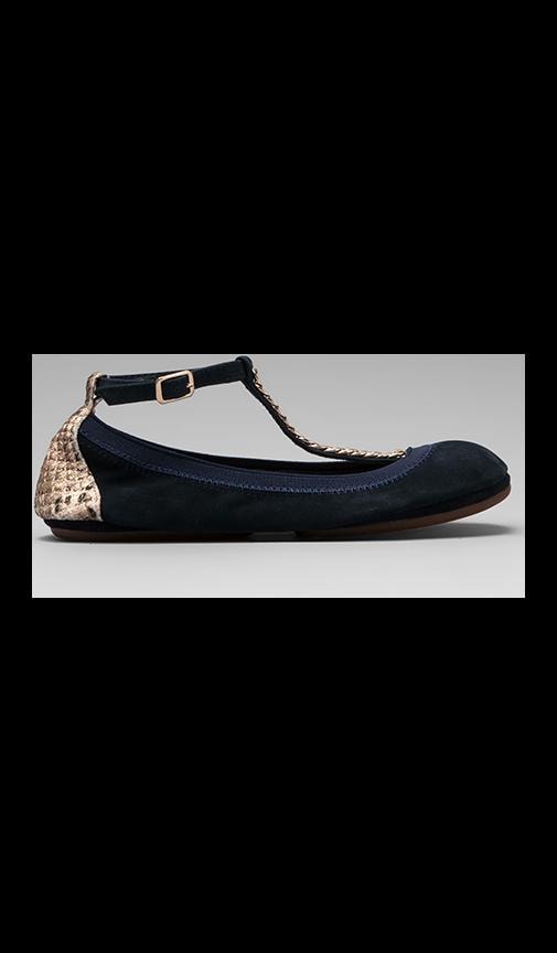 Two Tone Flat