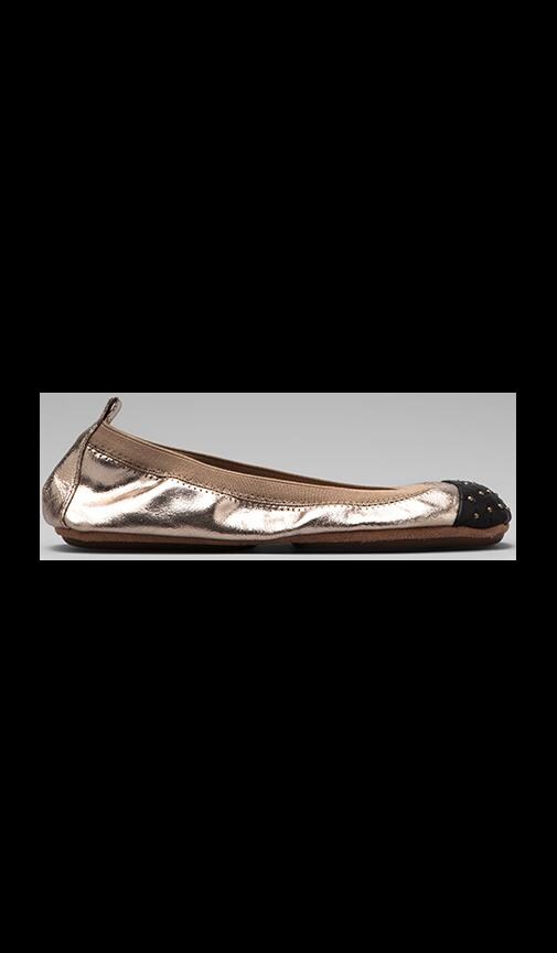Two Tone Ballet Flat