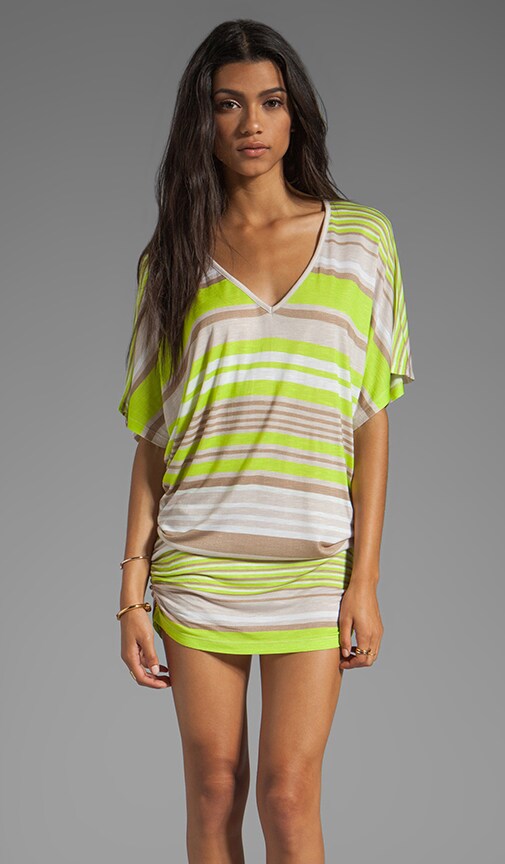 Trish Cabana Stripe Tunic