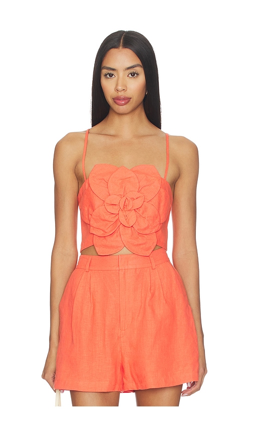 Sahara Top