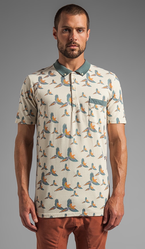 Pirate Polo