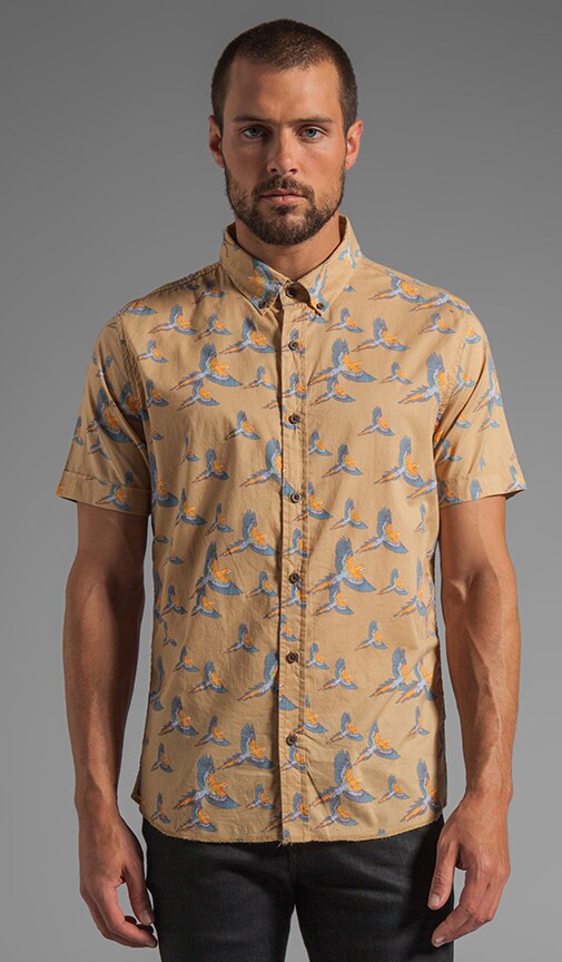 Pirate S/S Shirt