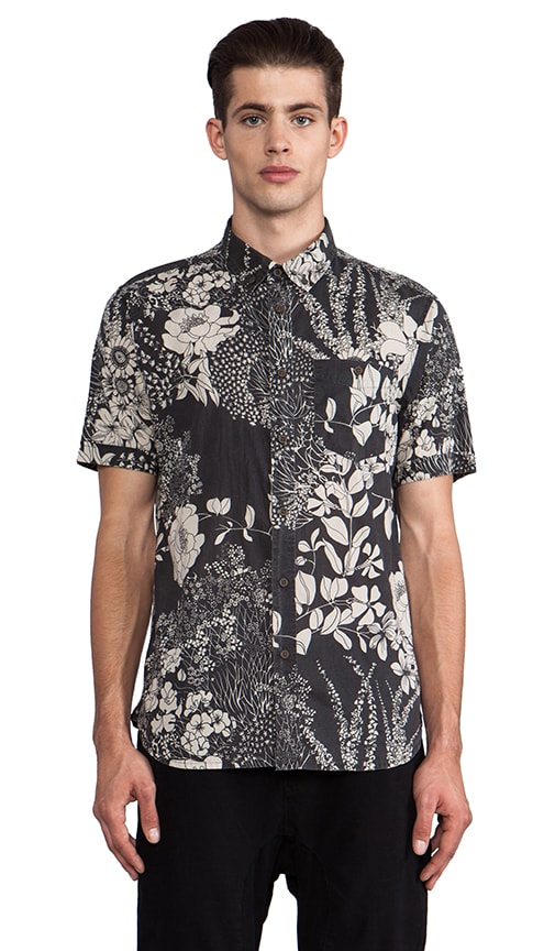 Hi Bi Short Sleeve Button Down