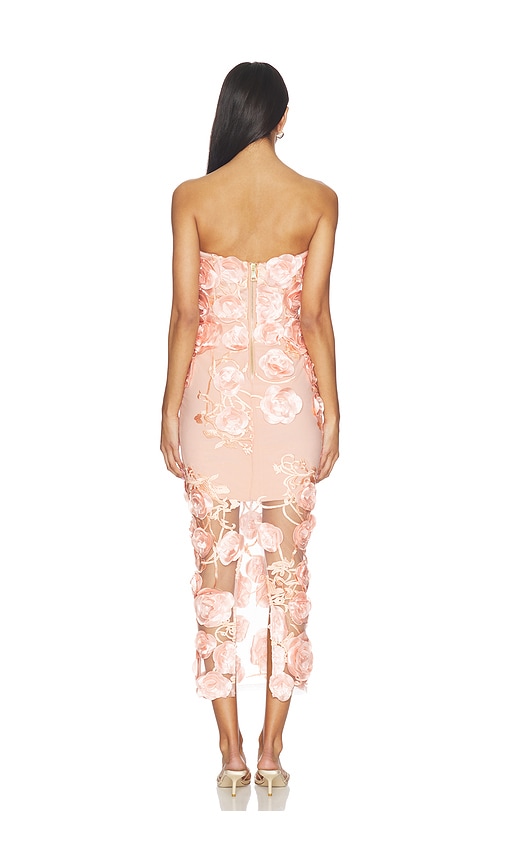  Zhivago Kleid Dream Of That In Blush. Größe 10. Also In 12. 