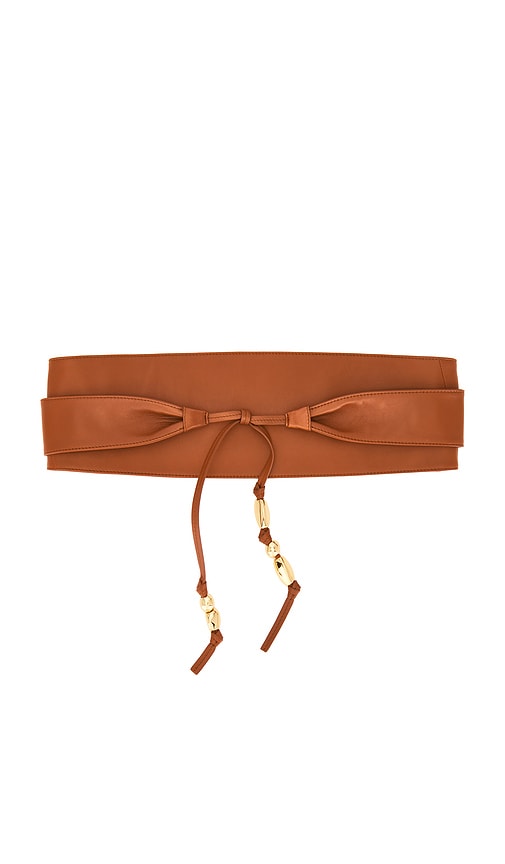 Zimmermann Foam Pebbles Wrap Belt In Brown