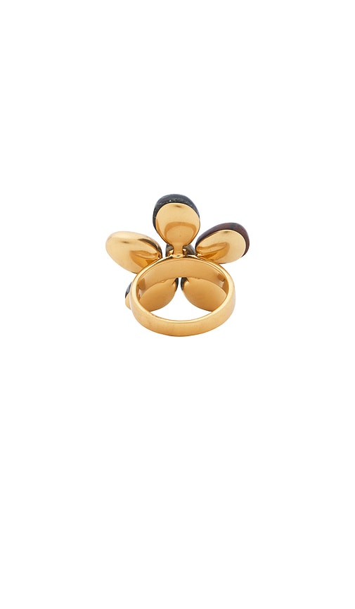  Zimmermann Schmuck Norma In Metallic Gold,brown. Größe 13/17mm. Also In 15/18mm. 