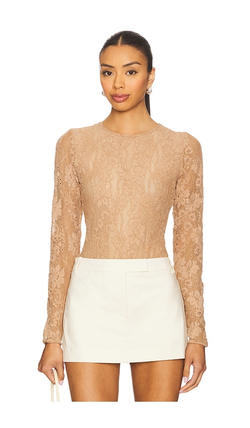 Zimmermann Lace Bodysuit In Brown
