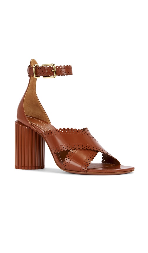 Zimmermann Eddie Scalloped Leather Sandals In Brown