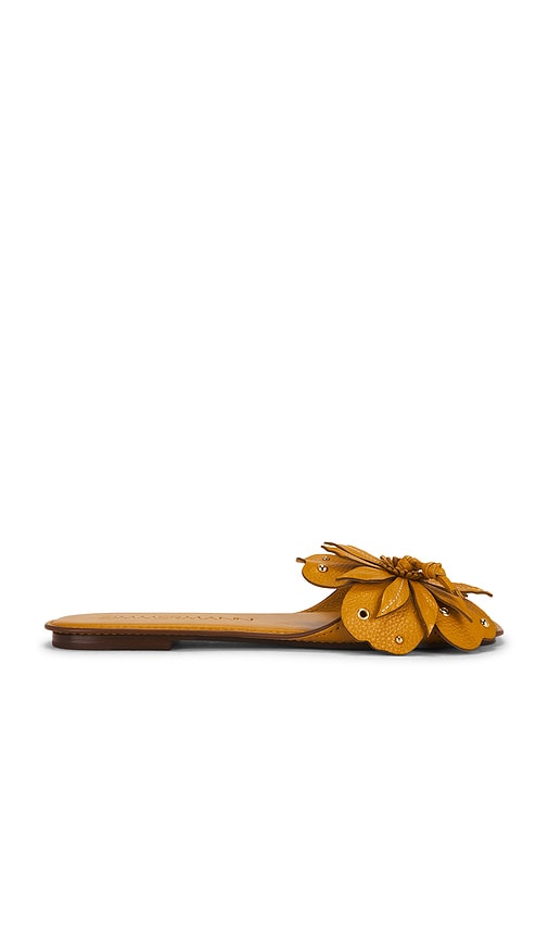 Zimmermann Brightside Slide in Tan. Size 36. Also in 37, 38.