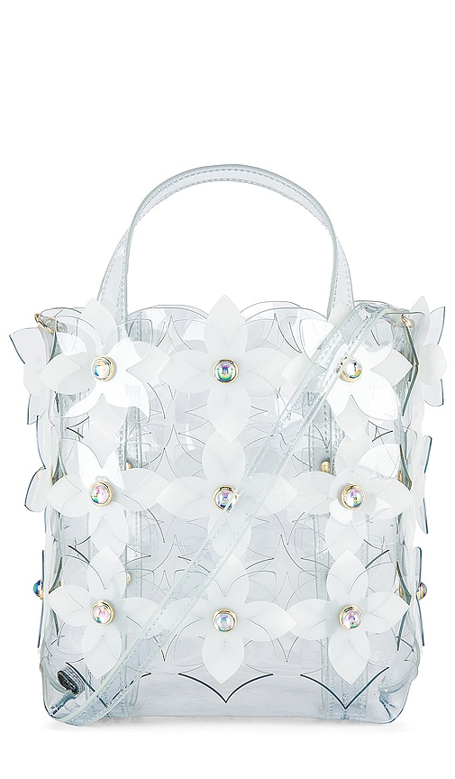 zac posen clear bag