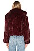 Rabbit Jacket With Fox Collar, view 3 of 4, click to view large image.