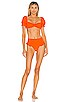 Romina Bikini Top, view 4 of 4, click to view large image.