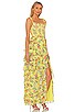 view 2 of 3 Jocelyn Maxi Dress in Floral Express Lemon Sorbet