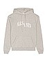view 1 of 3 Dropout Oth Hoodie in Grey Marl