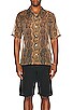 view 3 of 3 CAMISA DAUDIN in Havana Brown