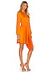 view 2 of 3 Behati Dress in Orange