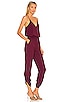 Lowell Jumpsuit, view 2, click to view large image.