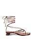 view 1 of 5 Allegra Lace up Sandals in Tan