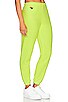 view 2 of 5 Check Leg Sweatpant in Neon Yellow