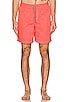view 3 of 3 Louis Short in Coral