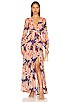 view 1 of 3 Lively Dress in Brown Coral Floral