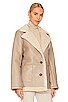 view 3 of 5 Francine Jacket in Taupe