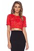 view 1 of 3 X REVOLVE Lisette Lace Crop Top in Red