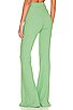 view 3 of 4 Delancy Pant in Kelly