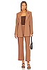 view 5 of 5 Austyn Blazer in Tan